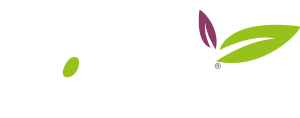YoBelle Frozen Yogurt